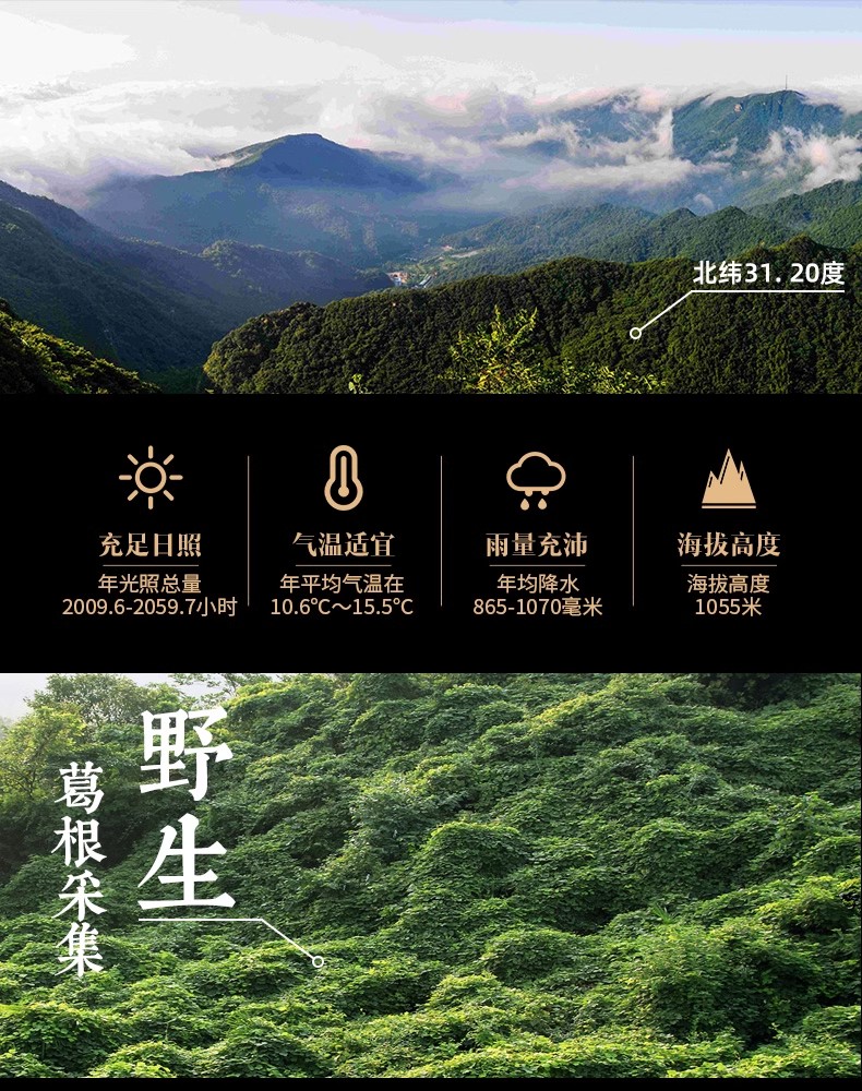 详情页5.jpg